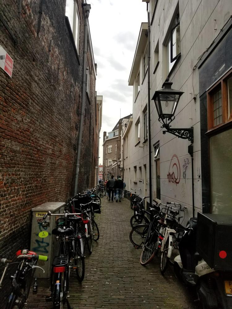 31444589_1825935744124255_3822273305755254784_n